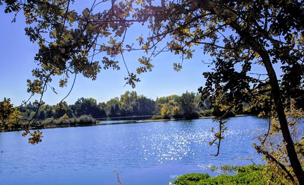 William B. Pond Recreation Area Walkabout, Fall, 2018, at the west side of the fishing pond!
